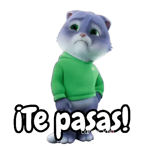 Gato gris para contestar 🐈⬛ 4