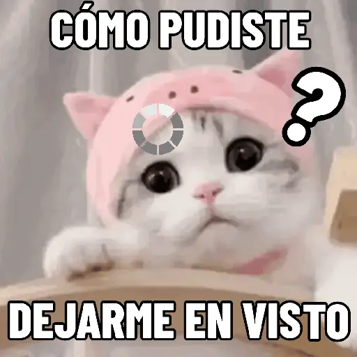 NO ME DEJES EN VISTO ✔️✔️😾 11