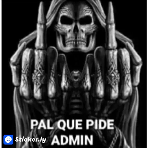 soy admin 29
