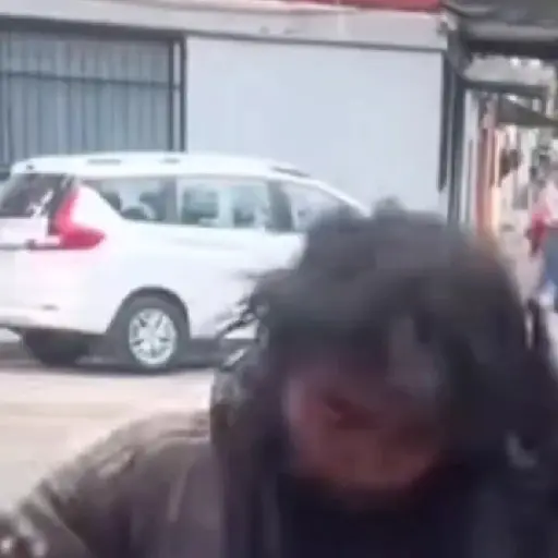 La diva indigente 💅🏻Tiktok 🔥 16