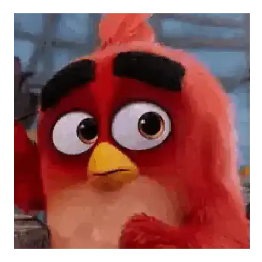Meme Angry birds 💢😅 1