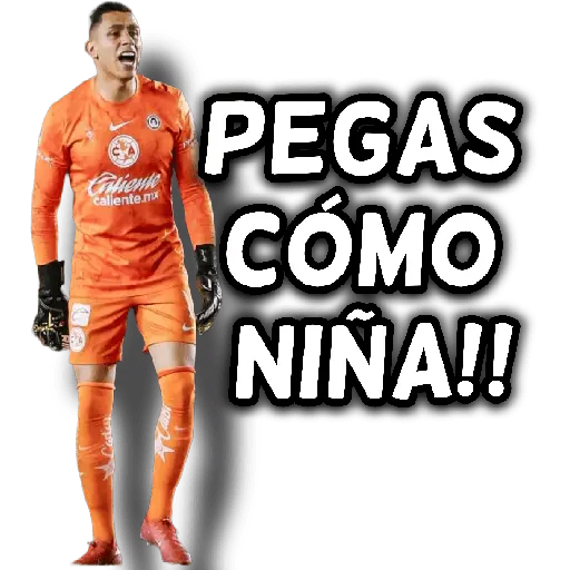 América 👑⚽ 28