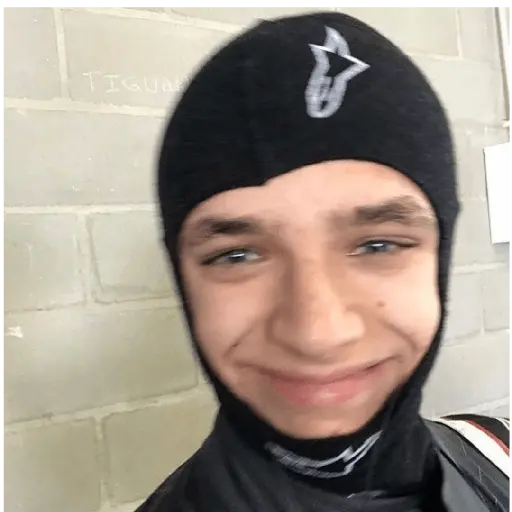 formula 1 13