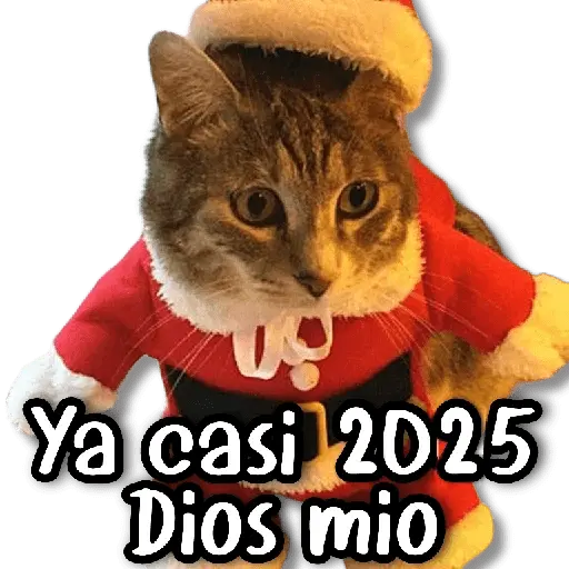 Memes Navideños #2 🎄 5