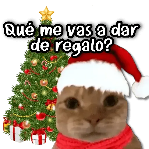 Memes Navideños #2 🎄 11