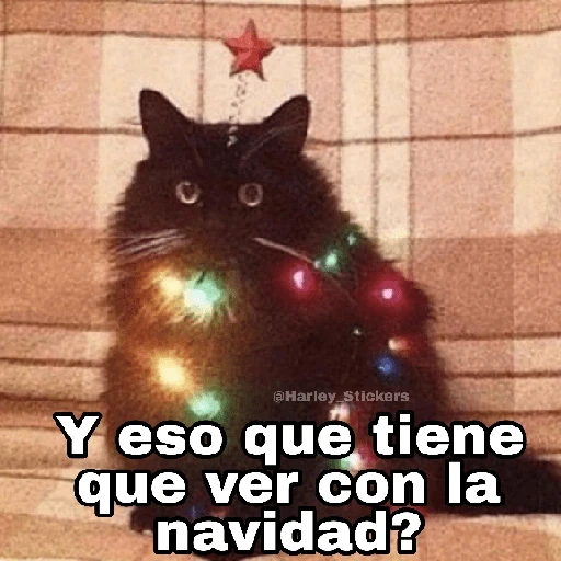 Gatitos Navidad 5