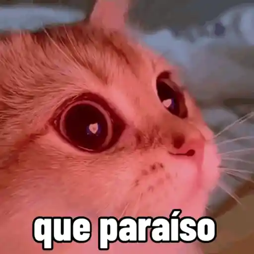 sapecagens - animadas 4