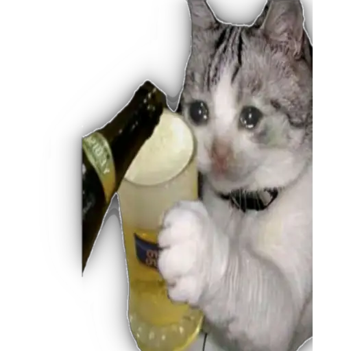 Quédate en casa 27