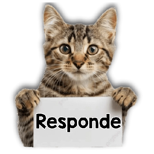 Michi mensajes gatito 🐱📩 10
