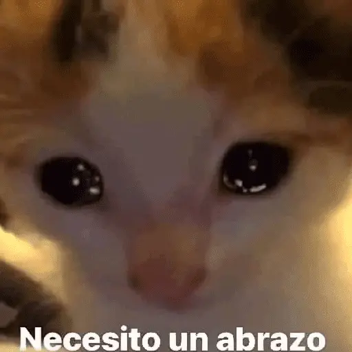Animales MIX!! 🐕🐁 11