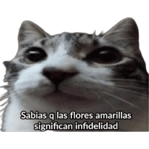 Flores Amarillas🌻ramos 6