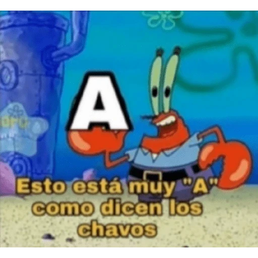15 Chavo ruco Cari # 24