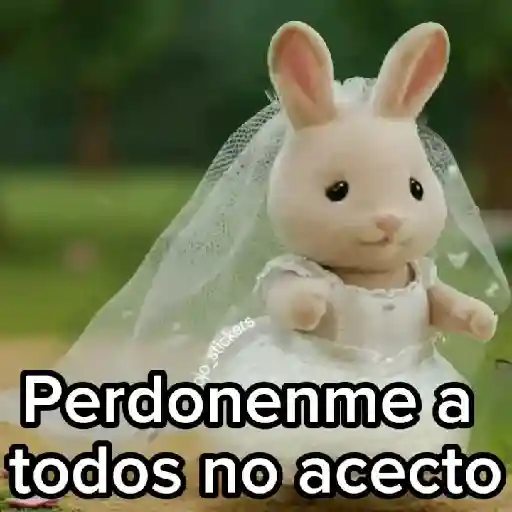 ❌Perdonenme no acepto👰 8