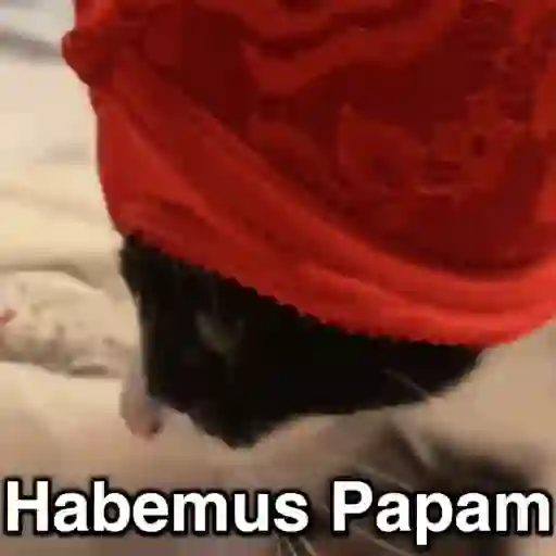 Habemus Papam