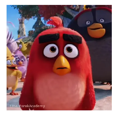 Meme Angry birds 💢😅 10