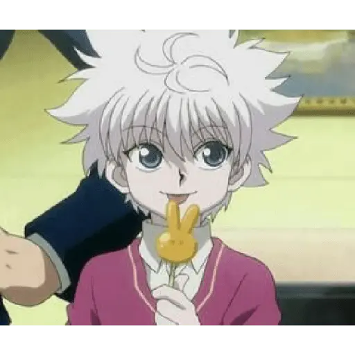 hunter x Hunter 30
