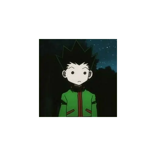 hunter x hunter 29