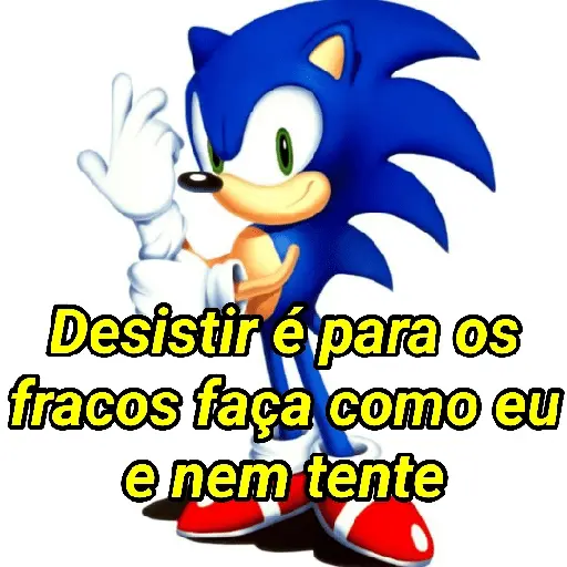 Sonic da zoeira🤪 14