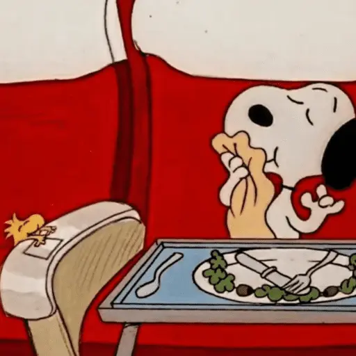 Snoopy Mood 🐶 19