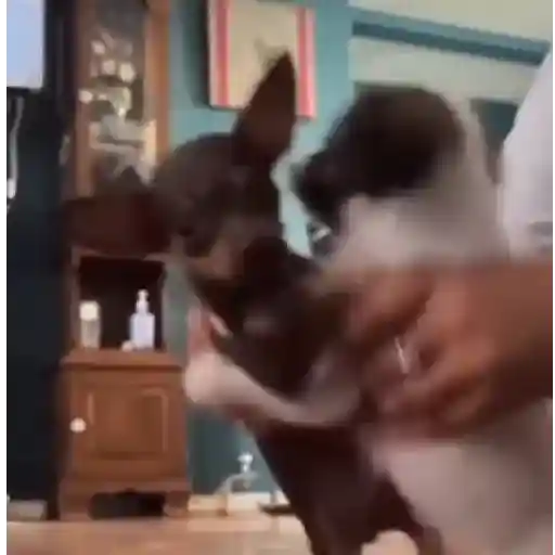 🎵 TIKTOKeando 10🎵 3