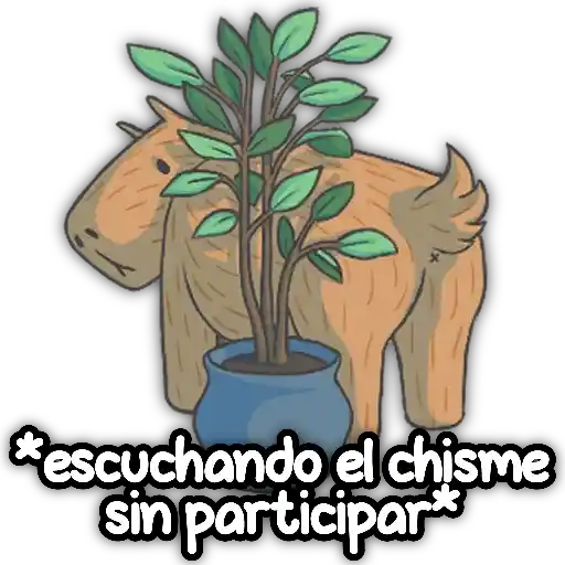 CAPIBARA Frases 11
