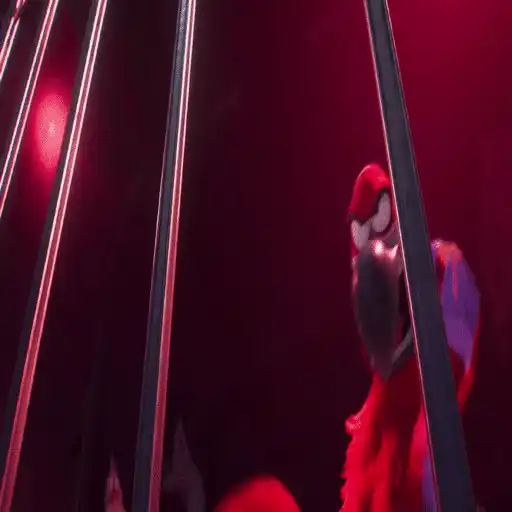 Migration 🦆💕Mov 9