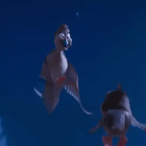 Migration 🦆💕1.1 Mov 23