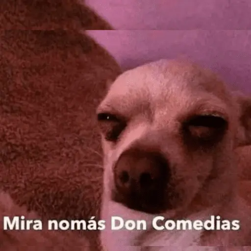 Memes pal chat🤎 12