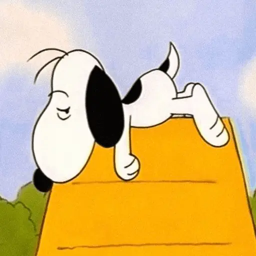 🐾•🏡Snoopy🏡•🐾 9