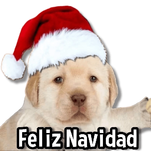 Feliz Navidad