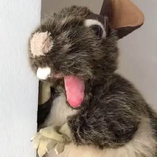 Rata triste de TikTok Meme😞🐭🐁 7