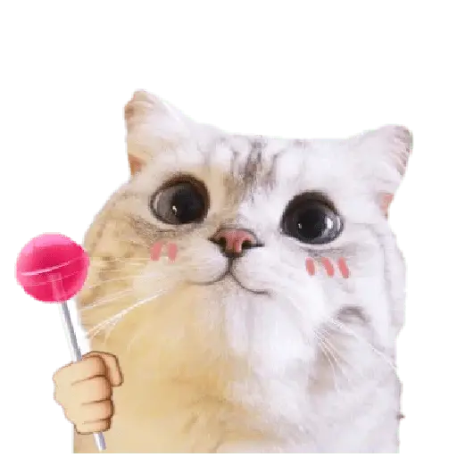 Michis random🐈🐈⬛ 18