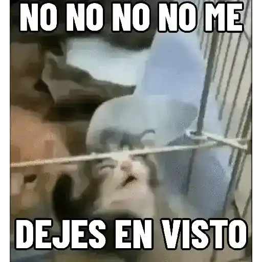 NO ME DEJES EN VISTO ✔️✔️😾 3