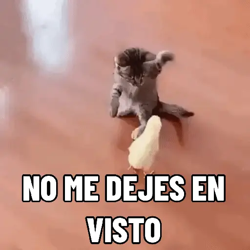 NO ME DEJES EN VISTO ✔️✔️😾 2