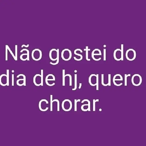 memes em frases 😂 12