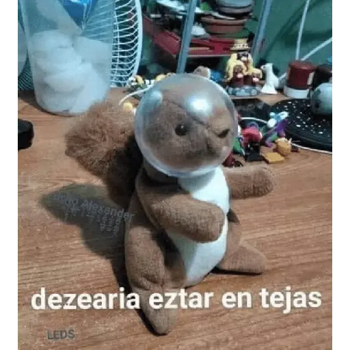 Ya no soy admin 19