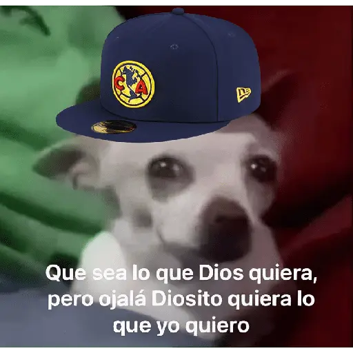 America vs cruz azul memes 🔥 15