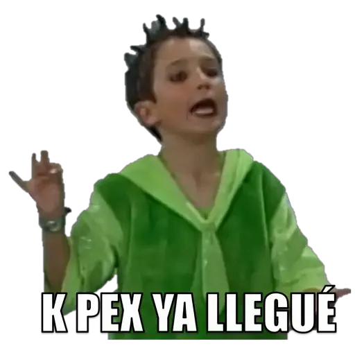 familia peluche 21