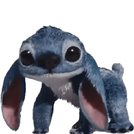 Stitch 💙 18