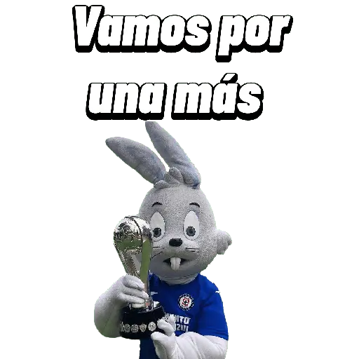 Cruz azul ⚽️ 13