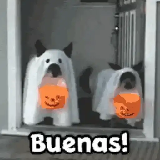 🎃 Halloween Pets 🎃 8