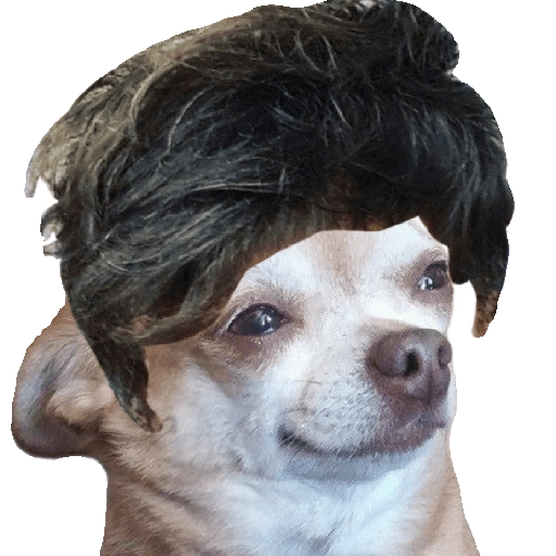 Perrito Milei 5