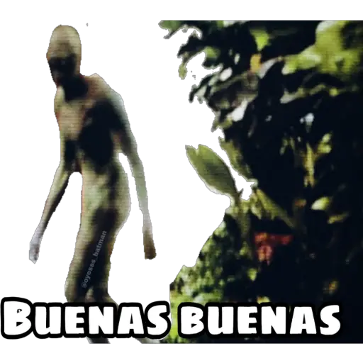 Señales 20