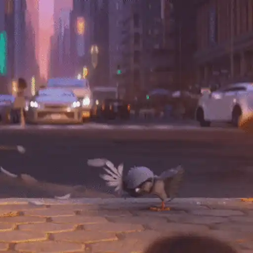 Migration 🦆💕1.1 Mov 8