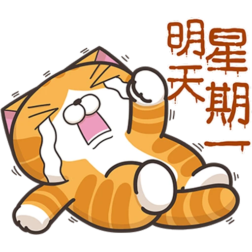 11
明天
星期
11