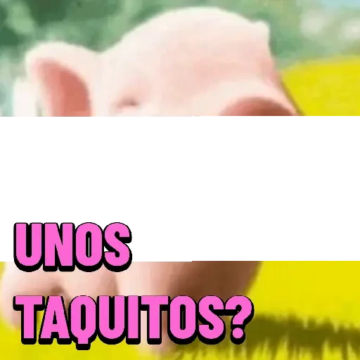 4.19 Comida Mex # 7
