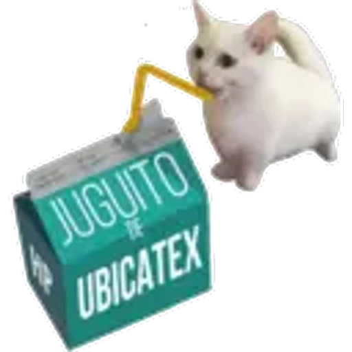 4.14 Bebida 21