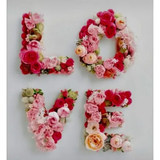 varios flores🌼🌼 8
