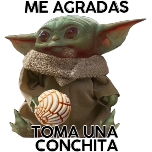 Baby Yoda en México 23