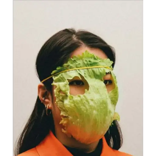 Maskalarning turlari 8